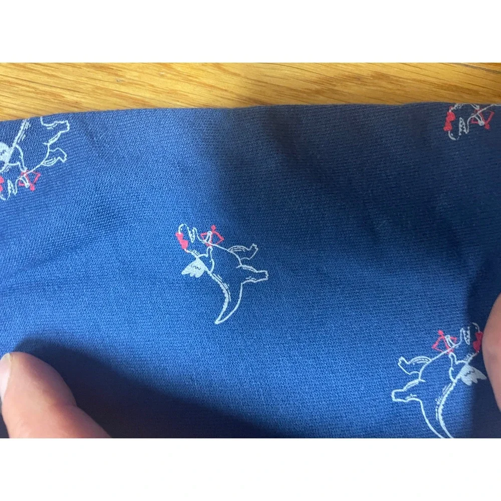 Carters Child of Mine Boys 12M Valentines Cupid Wingman Dinosaur outfit Set‎ NWT